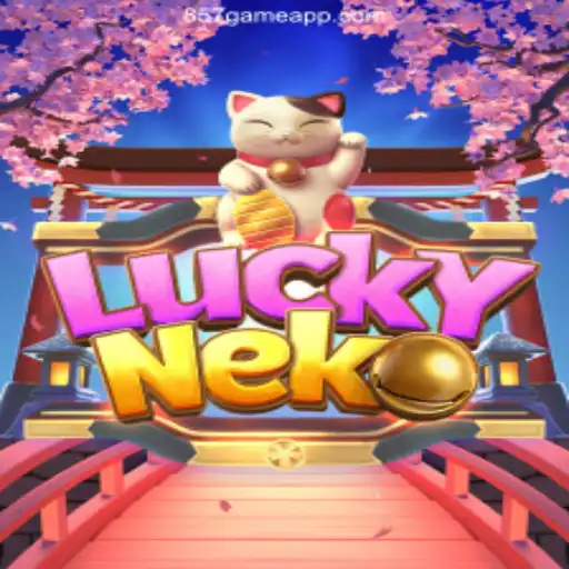 Exploring the World of LuckyNeko: The Best Online Casino Experience in Brazil